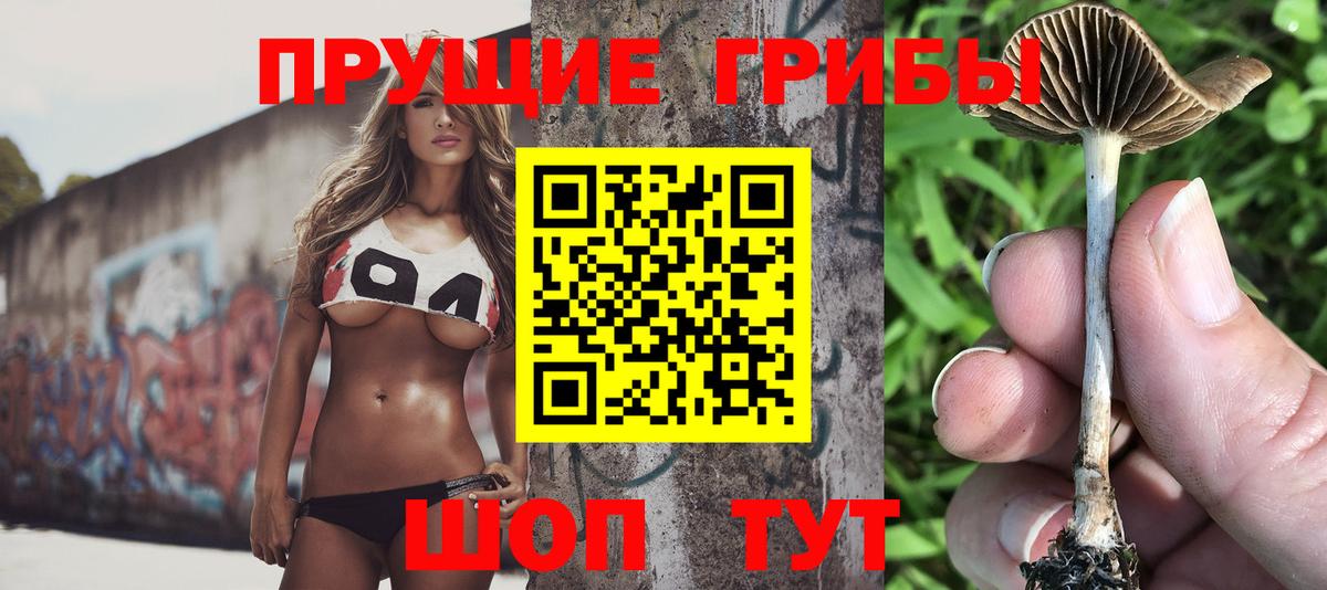 Псилоцибиновые грибы GOLDEN TEACHER Апатиты