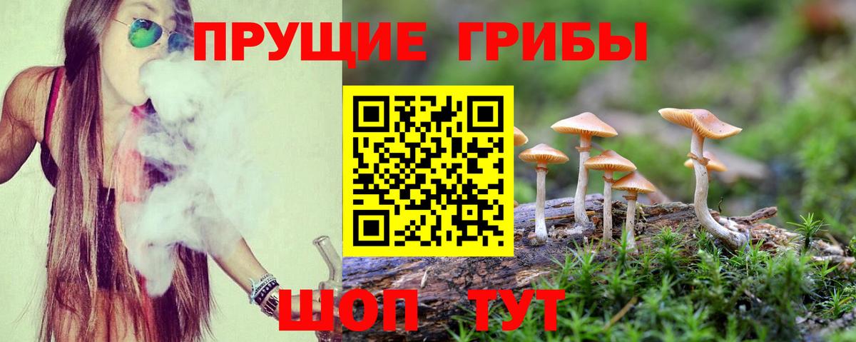 Апатиты  Галлюциногенные грибы MAGIC MUSHROOMS  Вход с VPN 